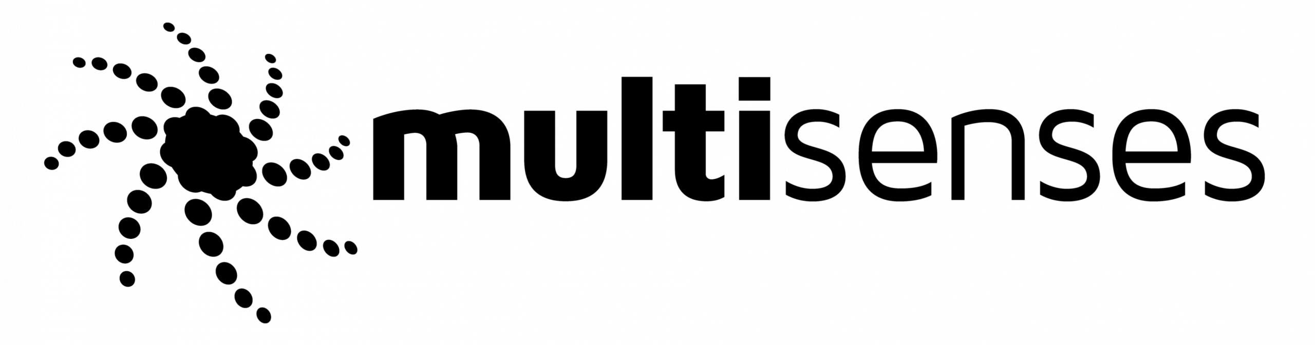 multisenses GmbH